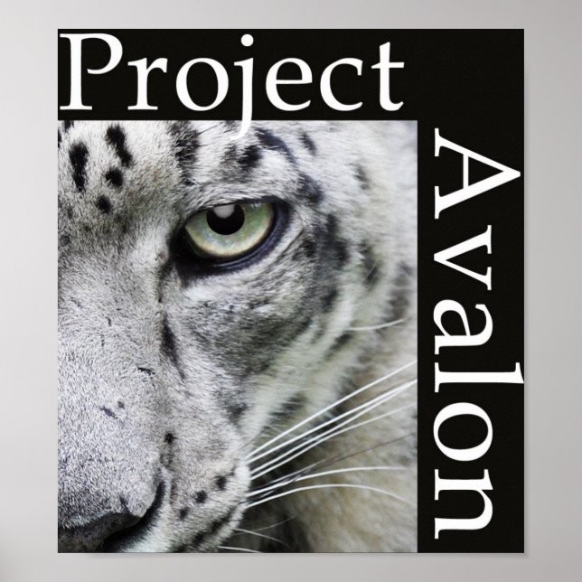 Poster do Projeto Avalon (Escuro) (Frente)