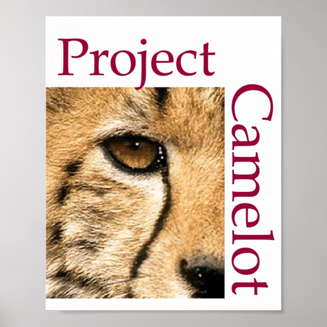 POSTER DO PROJETO CAMELOT (Frente)