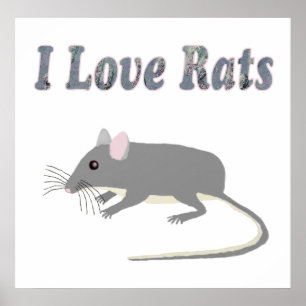 Poster do rato