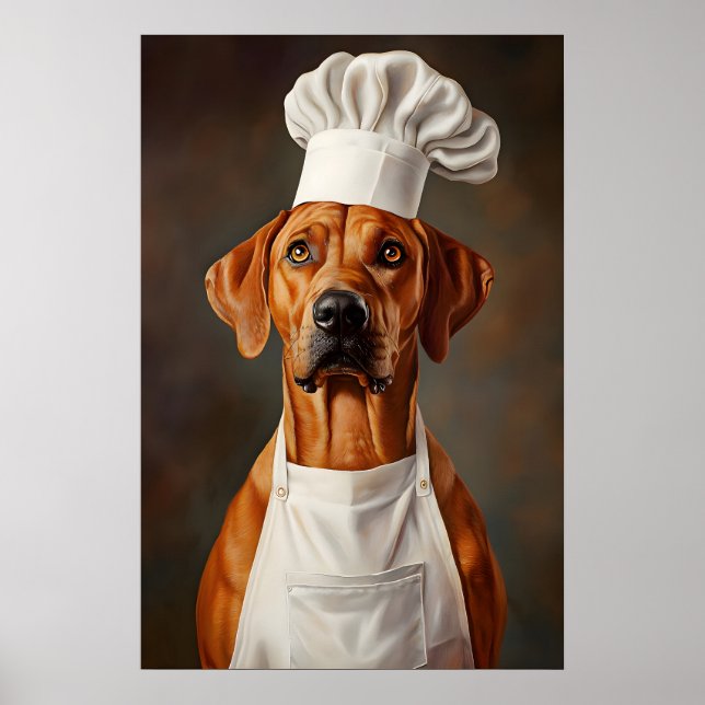 Poster do Rhodesian Ridgeback com Chapéu de Chef,  (Frente)