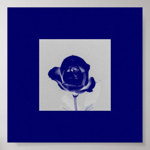 Poster do rosa do azul