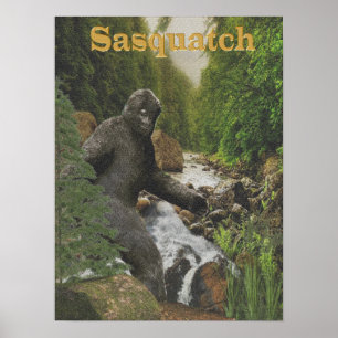 poster do sasquatch