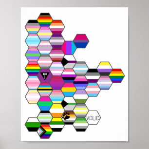 Poster do Sinalizador do Orgulho LGBT Honeycomb