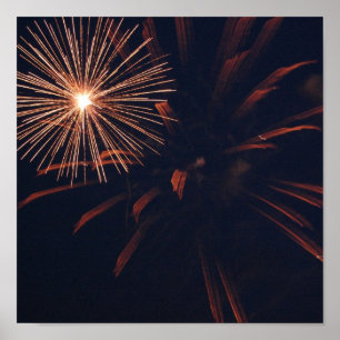 Poster do Spider Firework