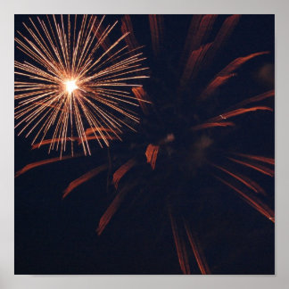 Poster do Spider Firework