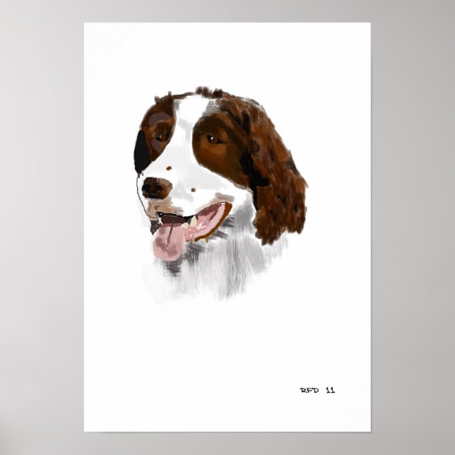 Poster do Springer Spaniel (Frente)