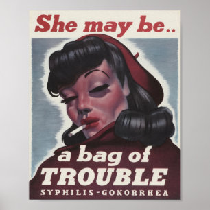 Poster do STD