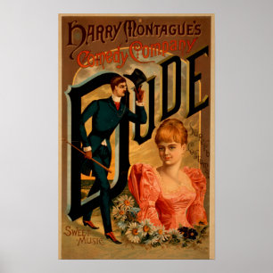 Poster do teatro do "gajo" da comédia de Harry
