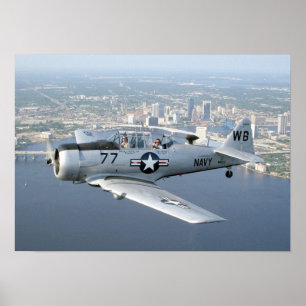 Poster do Texan T-6
