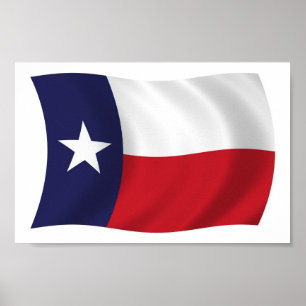 Poster do Texas Flag