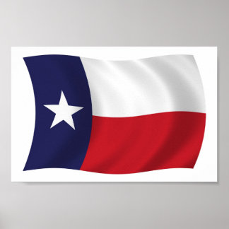 Poster do Texas Flag