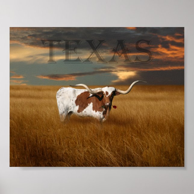 Poster do Texas Longhorn (Frente)