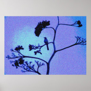 poster do tordo dos remedos