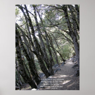 Poster do trajeto com 119:32 do salmo