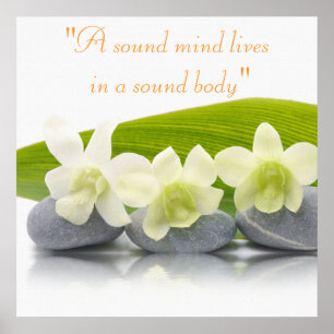 Poster do tratamento dos termas