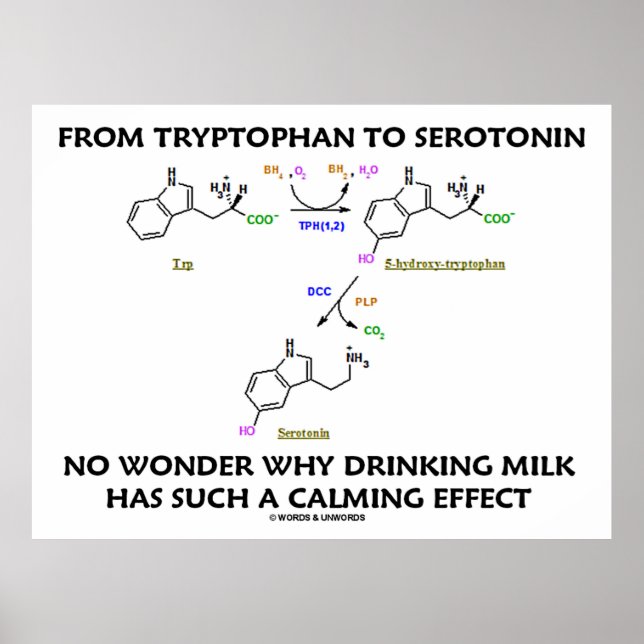 Póster Do Triptofano À Serotonina (Humor Químico) (Frente)