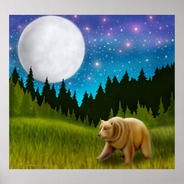 Poster do Urso Cinza da Lua norte (Frente)