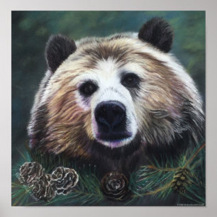 Poster do Urso de Contemplação