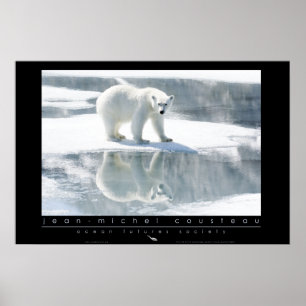 Poster do urso polar