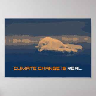 Poster do Urso Polar das Alterações Climáticas