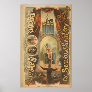 Poster do VAUDEVILLE da ilusão de Servais Le Roy