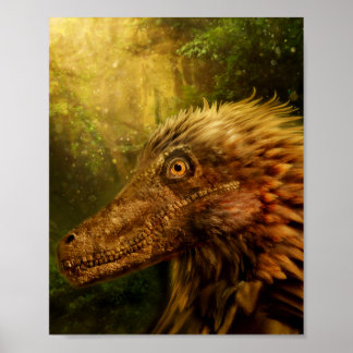 Poster do Velociraptor Dinossauro de Penas