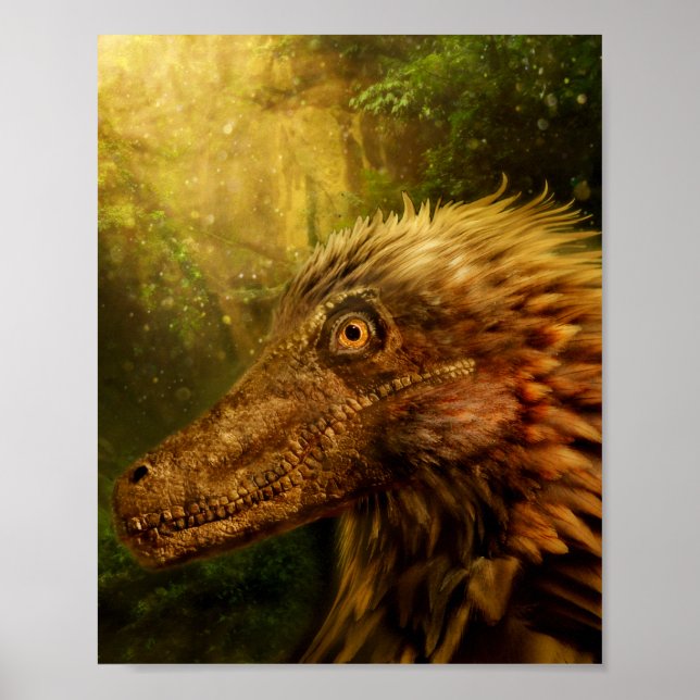 Poster do Velociraptor Dinossauro de Penas (Frente)