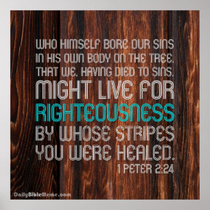 Poster do verso da bíblia - 1 2:24 de Peter