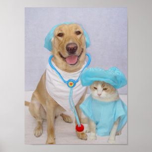 Poster do veterinário