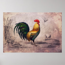 Poster do Vintage Rooster ou Papel de Decoupage