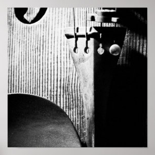 Poster do violino