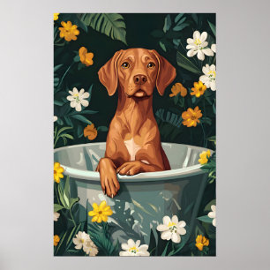Poster do Vizsla na Banheira, Poster Divertido de
