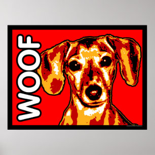 Poster do WOOF do Dachshund