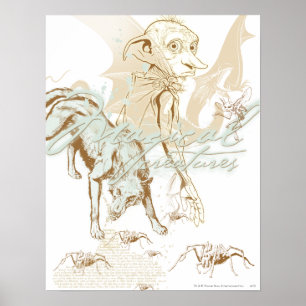 Poster Dobby