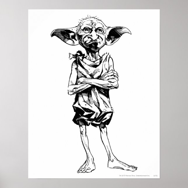 Poster Dobby 3 (Frente)