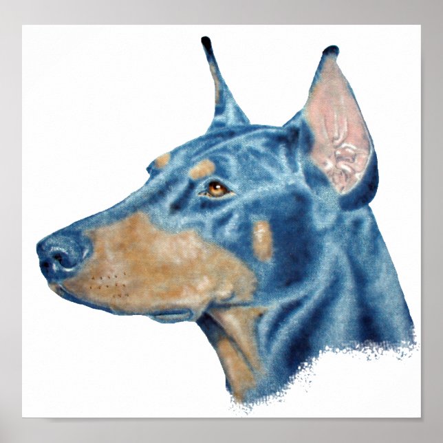 Póster Doberman (Frente)