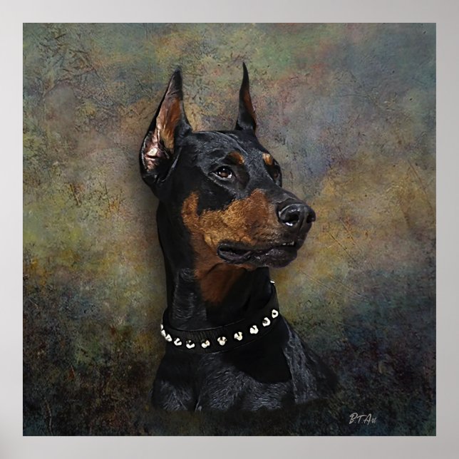 Poster Doberman (Frente)