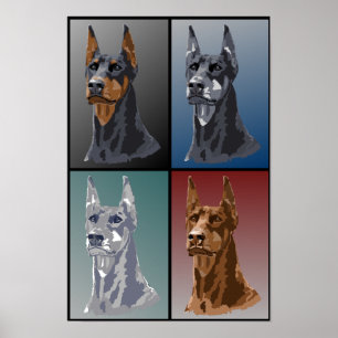 Poster Doberman Colors