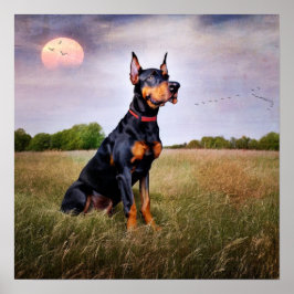 Poster Doberman Pinscher