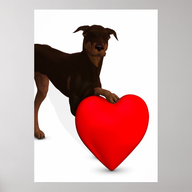 Poster Doberman Pinscher com Coração (Frente)