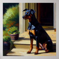 Doberman Pinscher Dog