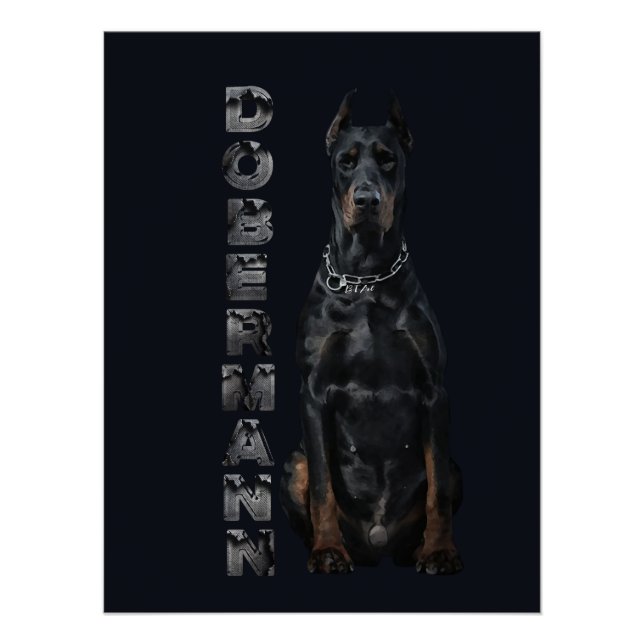 Póster Doberman Pinscher Poster (Frente)