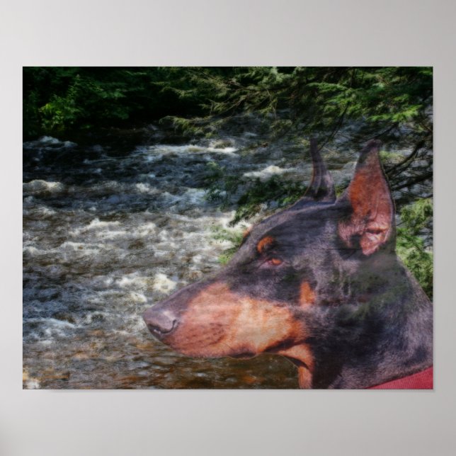 Póster Doberman Pinscher River Tree Fantasy Art (Frente)