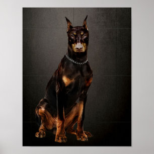 Poster Doberman Reliable Guarda Doberman Dog