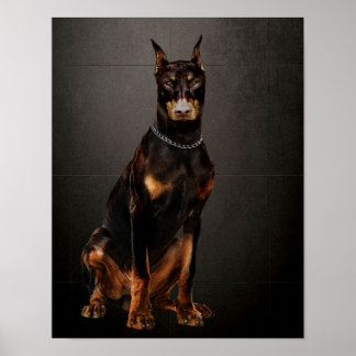 Poster Doberman Reliable Guarda Doberman Dog