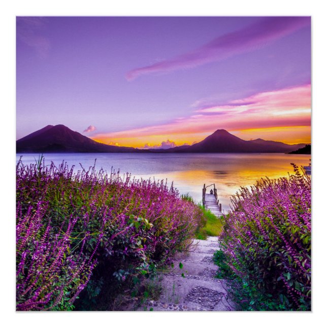 Póster doca de madeira castanha entre campo de flores de  (Frente)