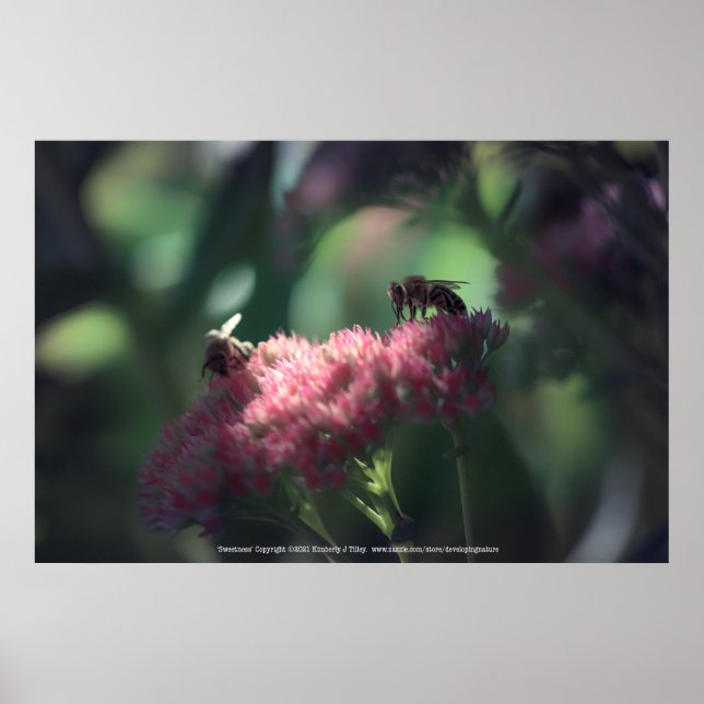 Poster Doce (Frente)