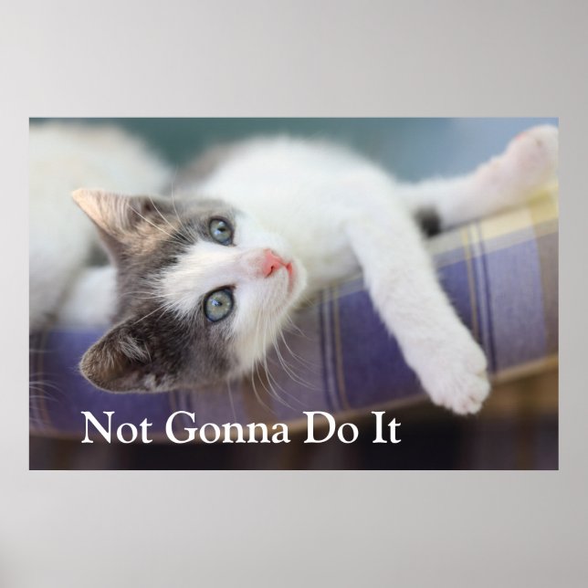 Póster Doce Gatinho Na Xadrez Da Cama (Frente)