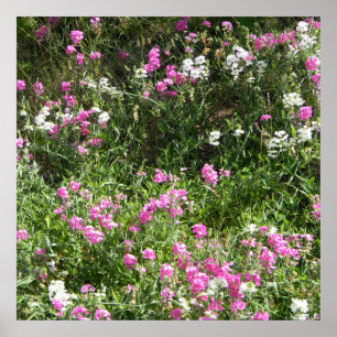 Poster Doces em Primavera...