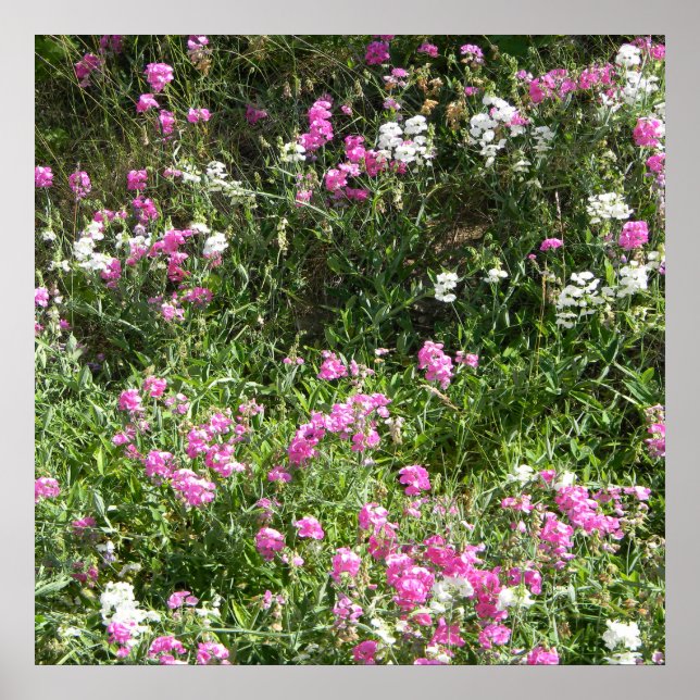 Poster Doces em Primavera... (Frente)